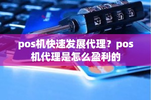 pos机快速发展代理？pos机代理是怎么盈利的