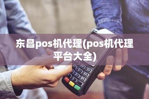 东昌pos机代理(pos机代理平台大全)