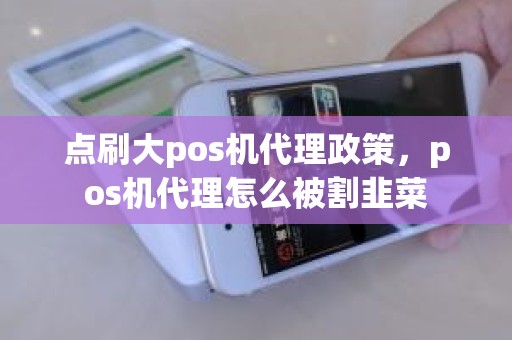 点刷大pos机代理政策，pos机代理怎么被割韭菜