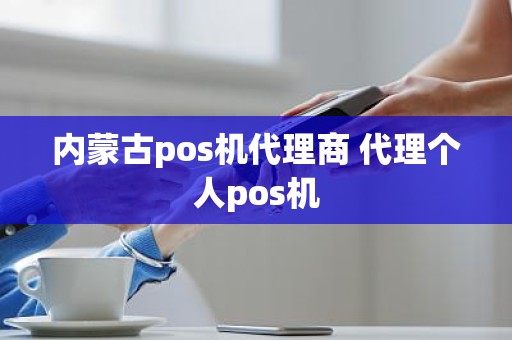 内蒙古pos机代理商 代理个人pos机