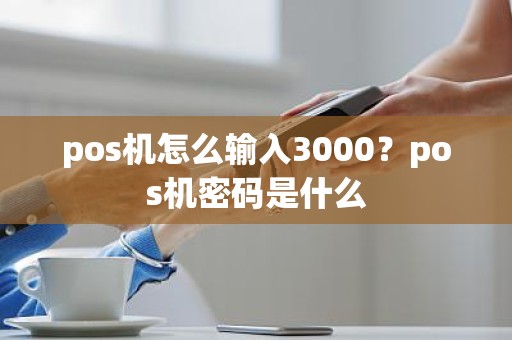 pos机怎么输入3000？pos机密码是什么