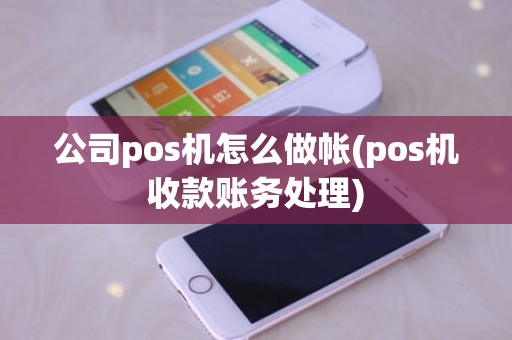 公司pos机怎么做帐(pos机收款账务处理)