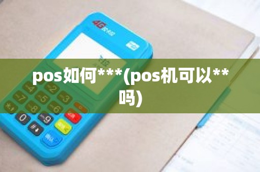 pos如何***(pos机可以**吗)